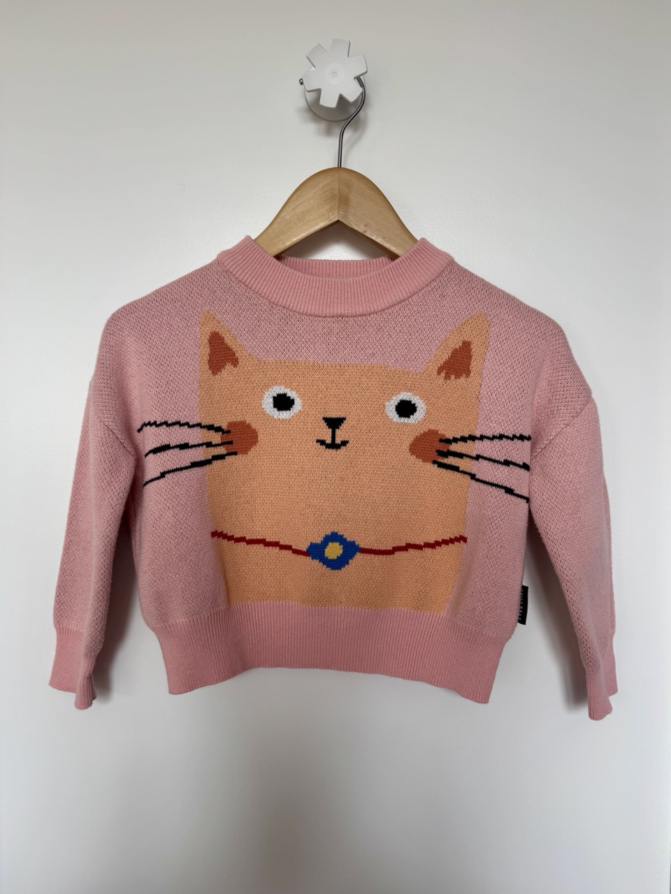 Kitty 2Y