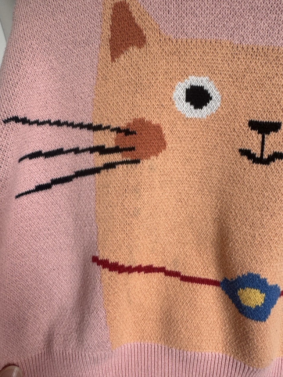 Kitty 4Y