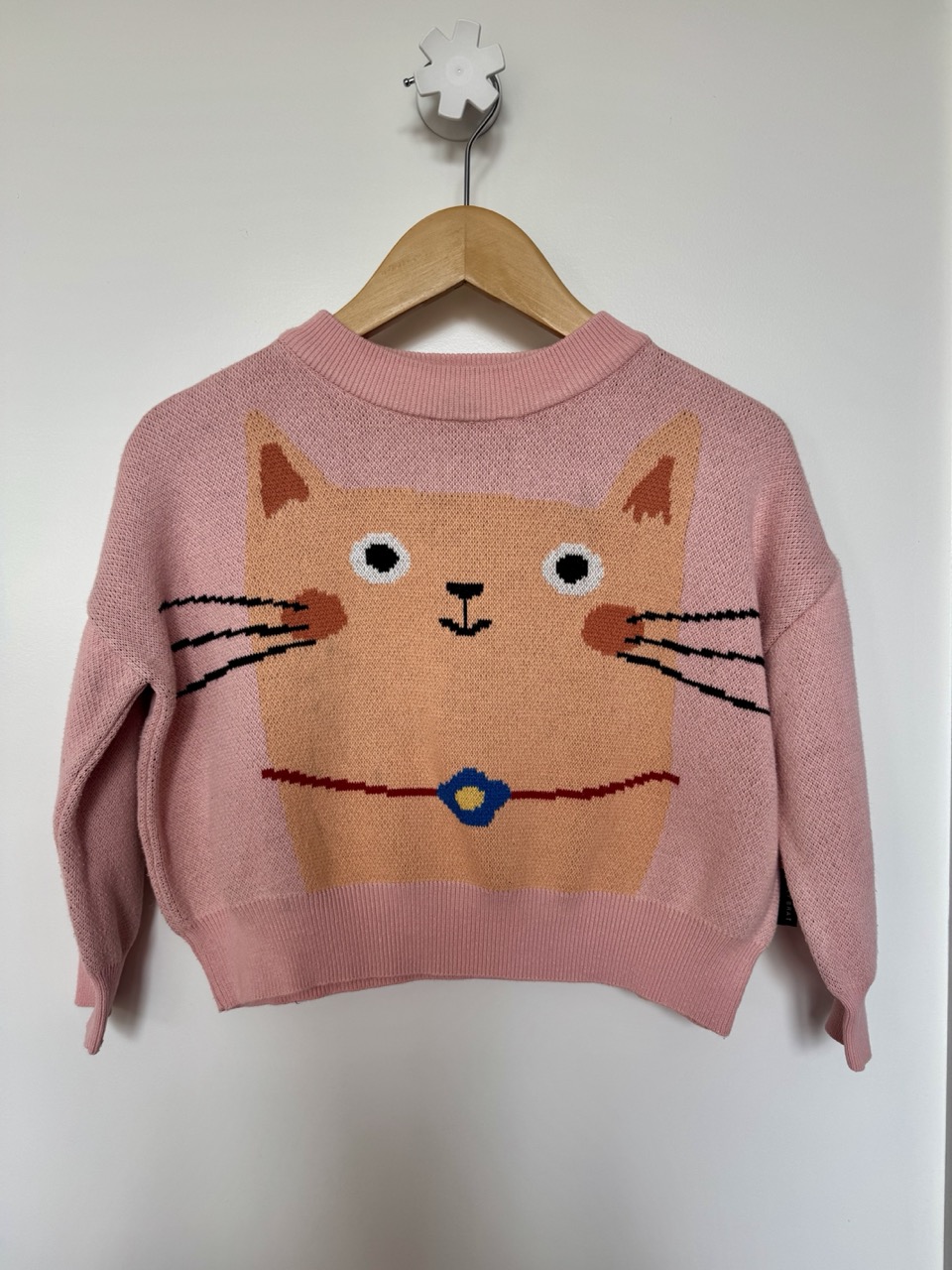 Kitty 4Y